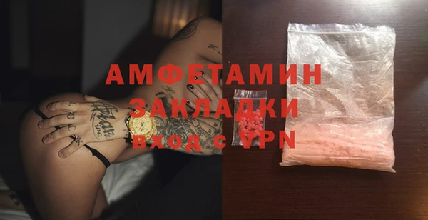 ГАЛЛЮЦИНОГЕННЫЕ ГРИБЫ Дмитриев