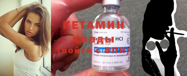 ГАЛЛЮЦИНОГЕННЫЕ ГРИБЫ Дмитриев