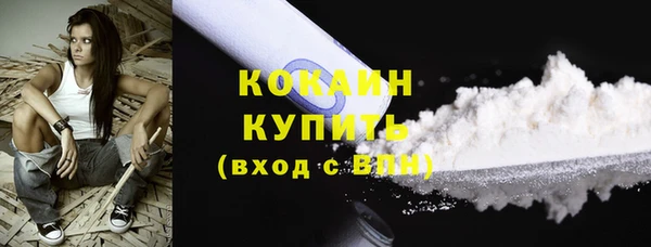 твердый Дмитров