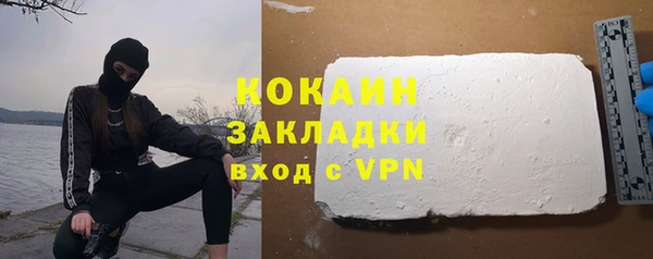 твердый Дмитров