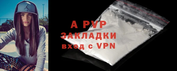 твердый Дмитров