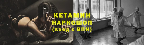 ГАЛЛЮЦИНОГЕННЫЕ ГРИБЫ Дмитриев