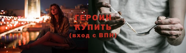 ГАЛЛЮЦИНОГЕННЫЕ ГРИБЫ Дмитриев