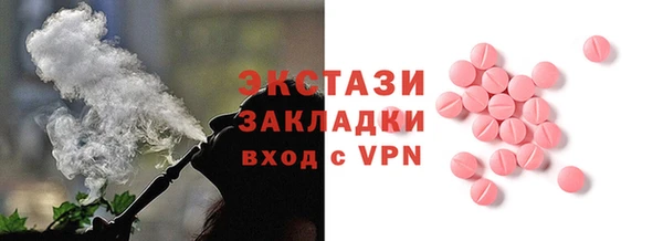 ГАЛЛЮЦИНОГЕННЫЕ ГРИБЫ Дмитриев