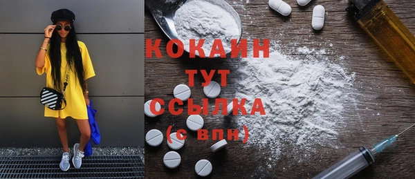 ГАЛЛЮЦИНОГЕННЫЕ ГРИБЫ Дмитриев