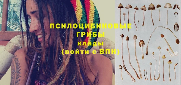ГАЛЛЮЦИНОГЕННЫЕ ГРИБЫ Дмитриев