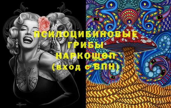 ГАЛЛЮЦИНОГЕННЫЕ ГРИБЫ Дмитриев