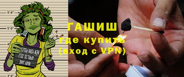 ГАЛЛЮЦИНОГЕННЫЕ ГРИБЫ Дмитриев