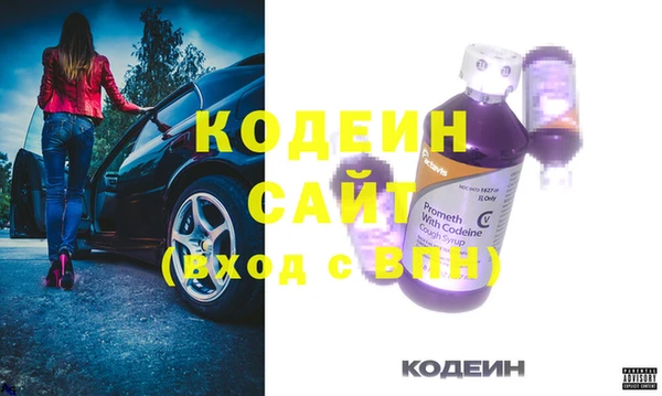 ГАЛЛЮЦИНОГЕННЫЕ ГРИБЫ Дмитриев