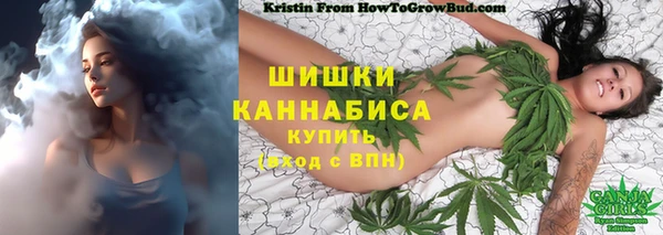 твердый Дмитров