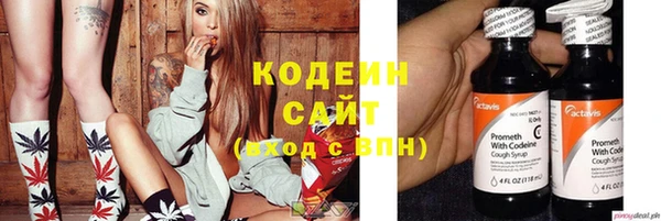 ГАЛЛЮЦИНОГЕННЫЕ ГРИБЫ Дмитриев
