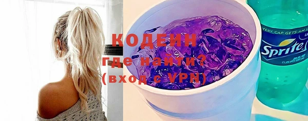 ГАЛЛЮЦИНОГЕННЫЕ ГРИБЫ Дмитриев