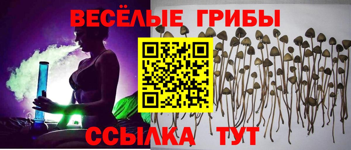 Радужный  Псилоцибиновые грибы GOLDEN TEACHER  Вход с VPN 